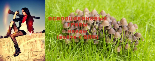 соль курить ск Приозерск