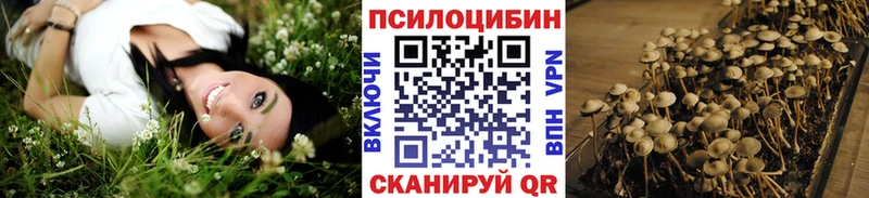 Галлюциногенные грибы Psilocybe  купить закладку  Белокуриха 